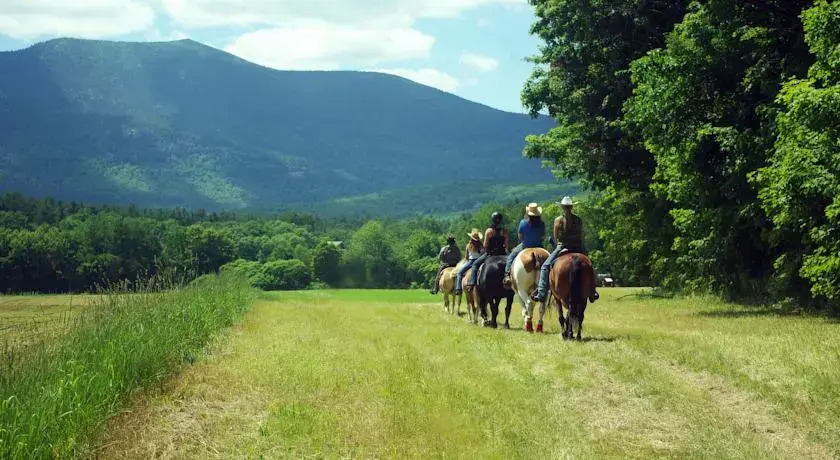 Farm by the River Bed and Breakfast with Stables