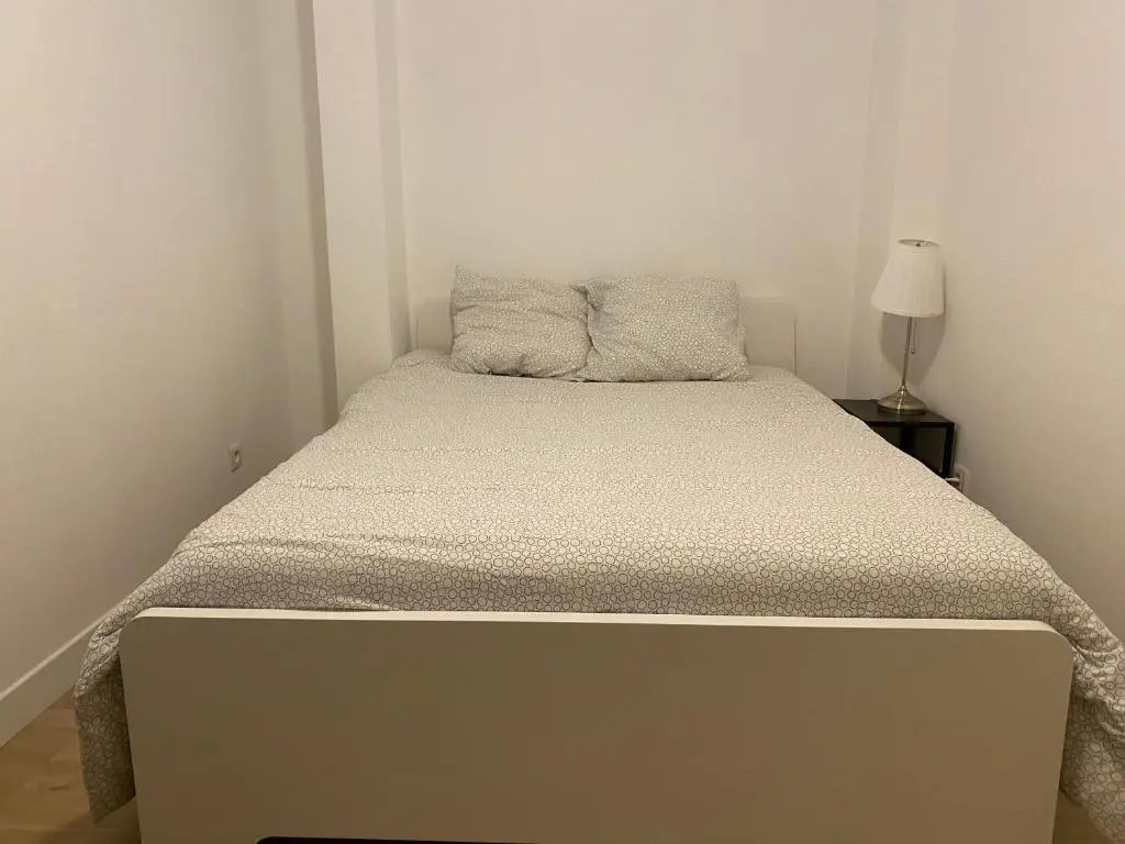 Loft entier parisien-Paris11