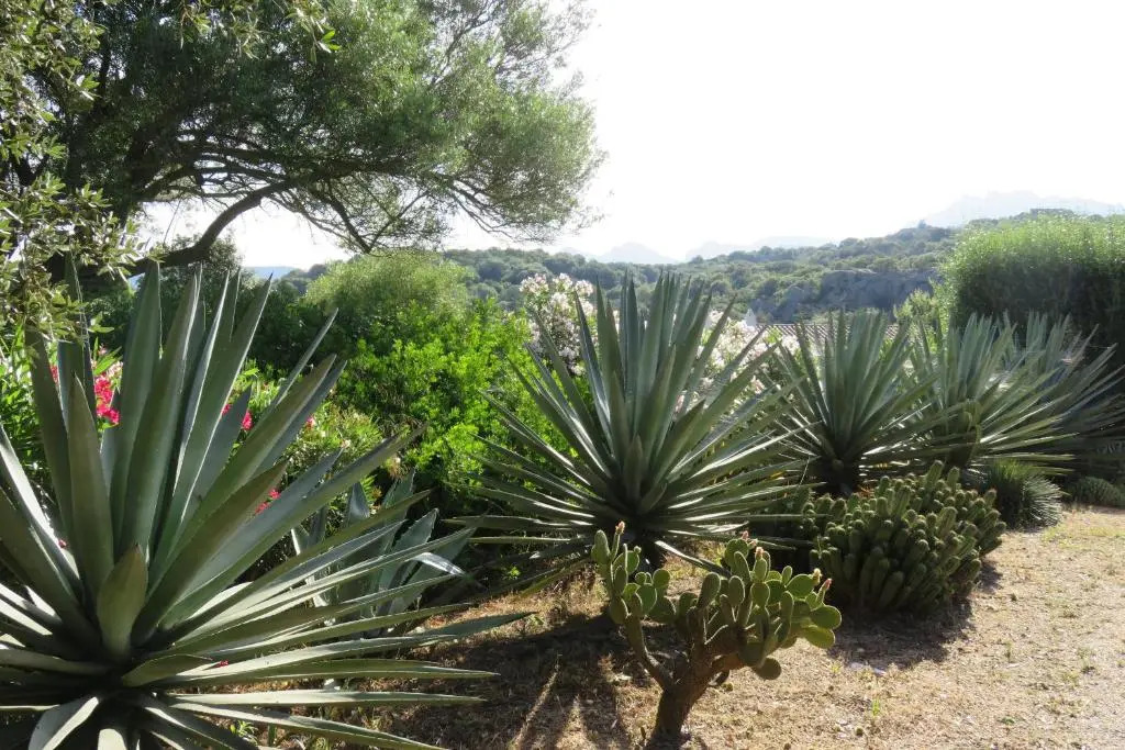 Spartaco Eco Retreat San Pantaleo