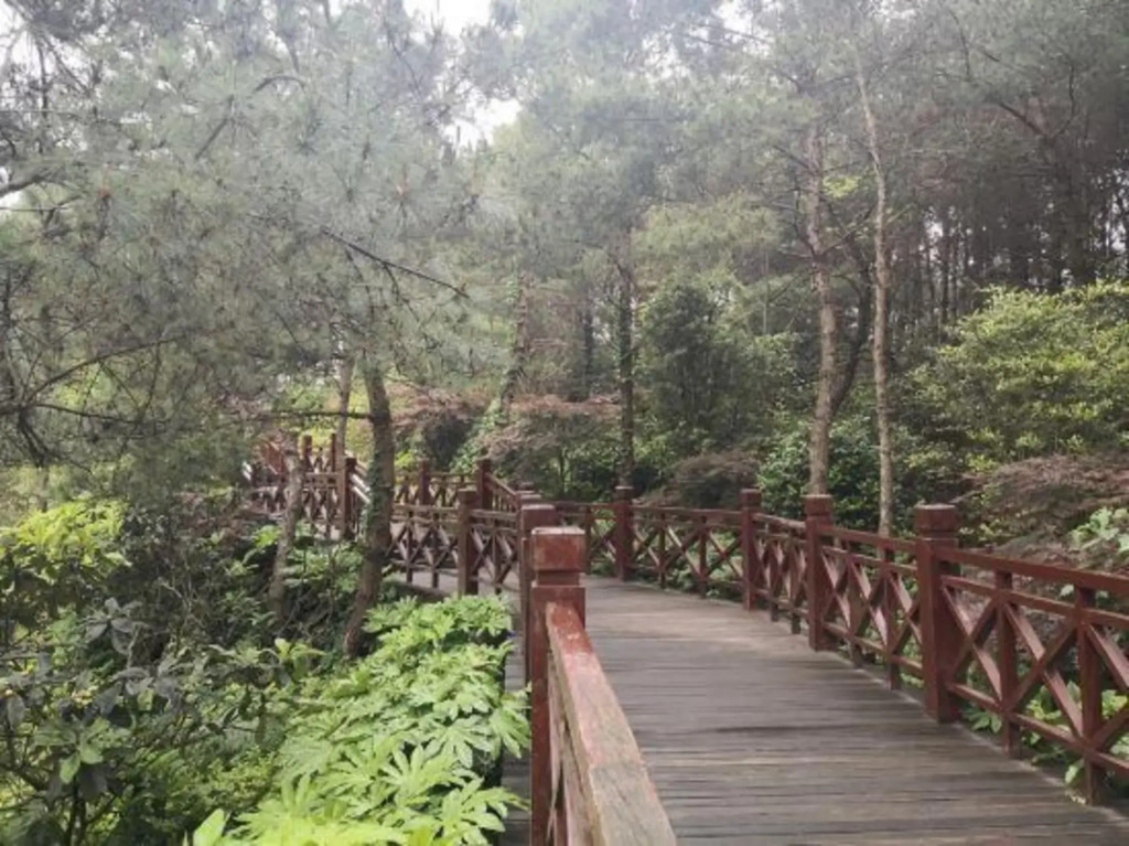 Tongxinglou Express Hotel