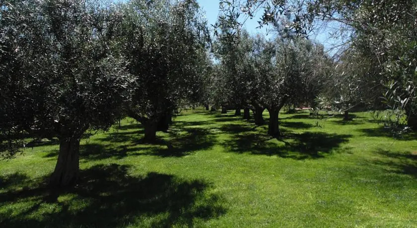 Il Borgo Degli Ulivi