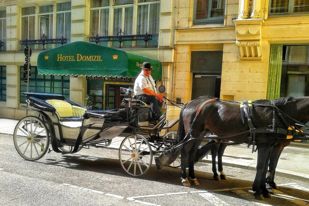 Hotel Domizil