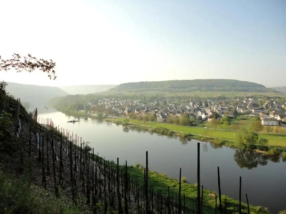 Wein & Wohngut Paulushof