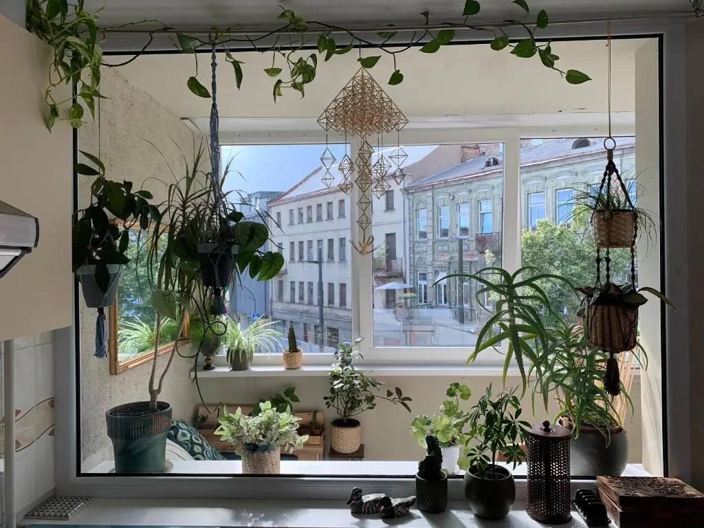 Three bedroom with two terraces for 7people+baby
