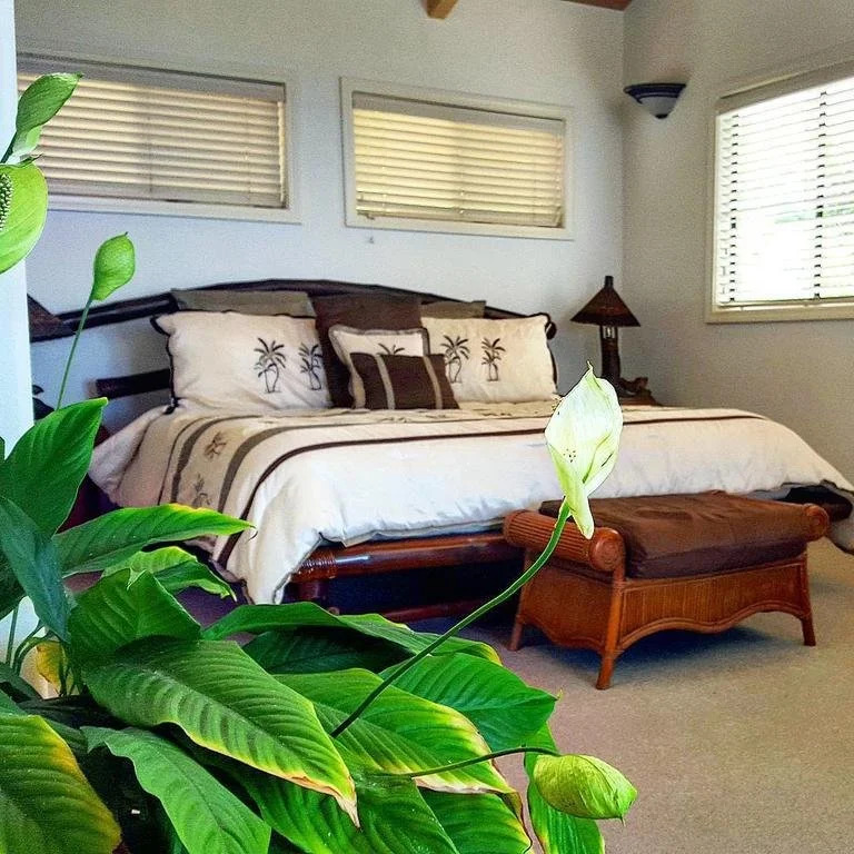 Hale Hualalai