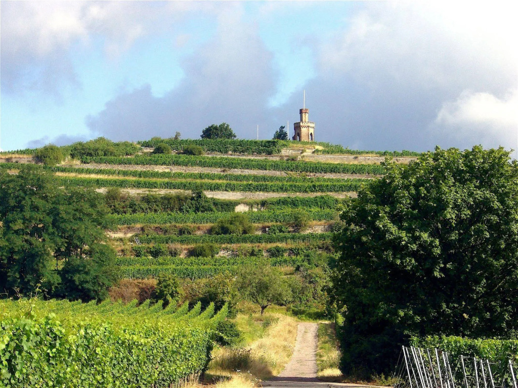 Wellness- und Gartenhotel Heusser