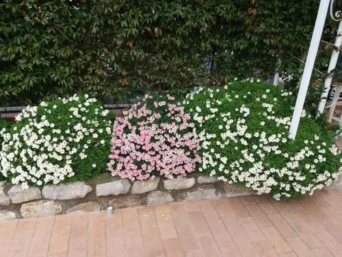 Bed And Breakfast 3 Stars Vico Equense