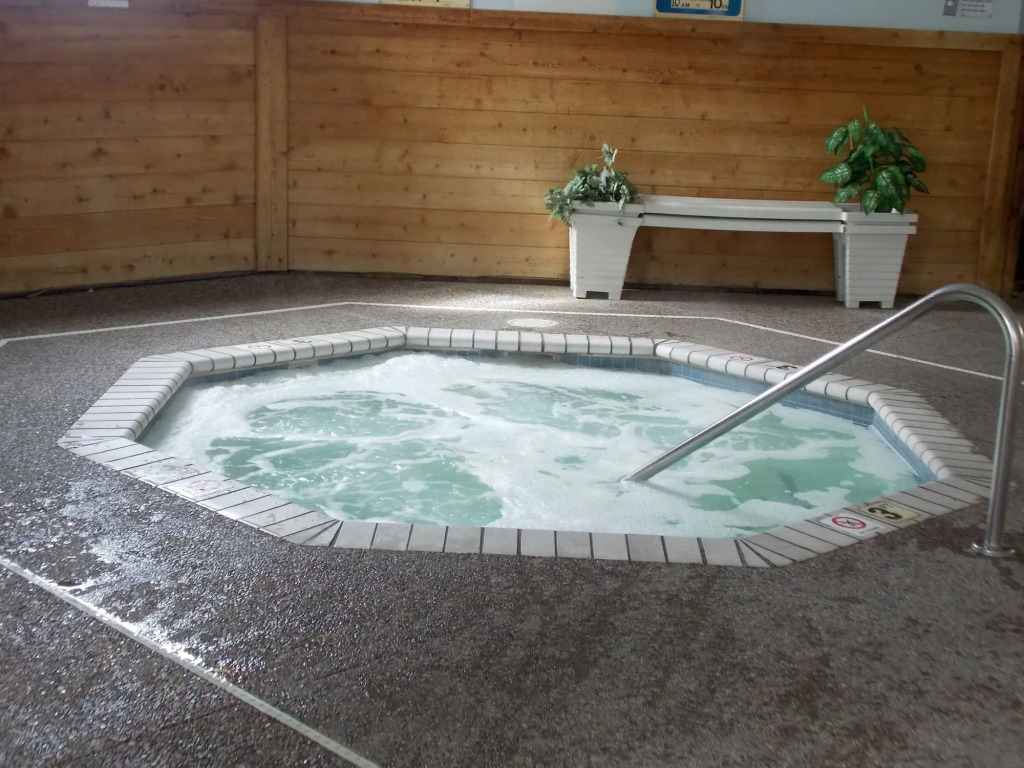 Norwood Inn and Suites - Roseville