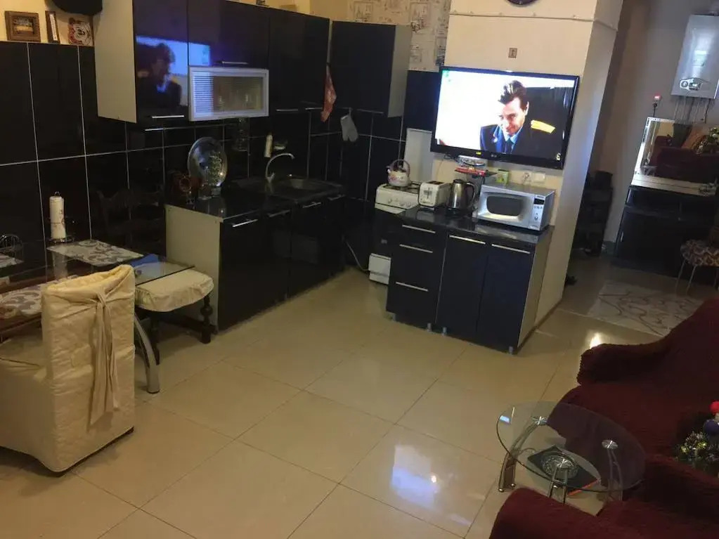 Apartment on Aurutin Saiatnova
