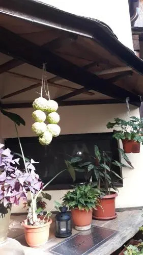 Casa Veche
