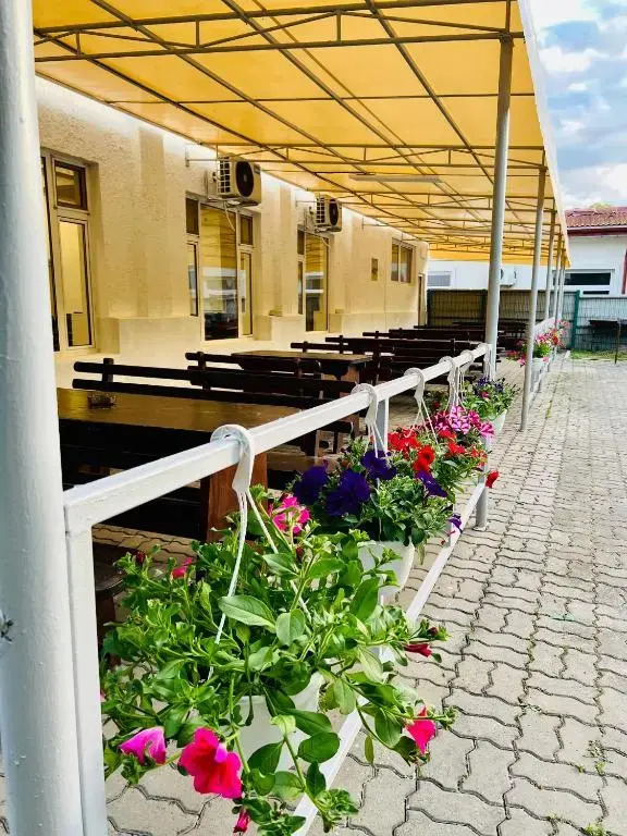 Hostel Bistrita