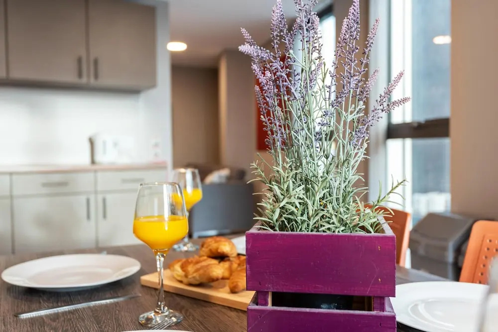 Central Modern 6BR APT With Fast Wifi Sleeps 6