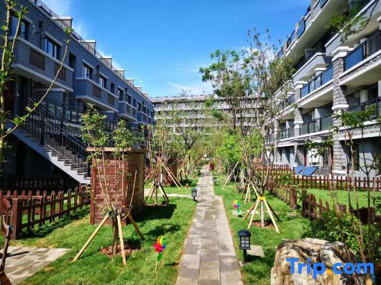 V-Live Wtown Resorts