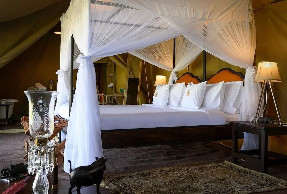 The Royal Migration Camp - All Inclusive