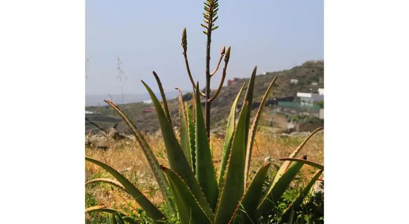 Casa Rural La Vista Tenerife