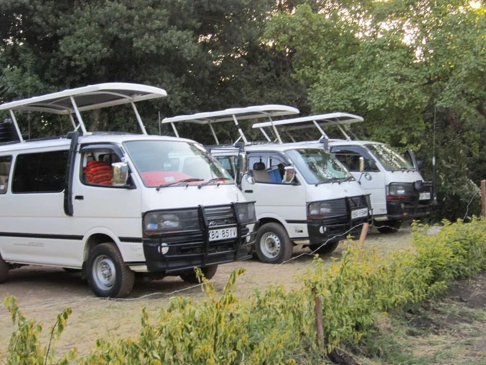 Rhino Camp