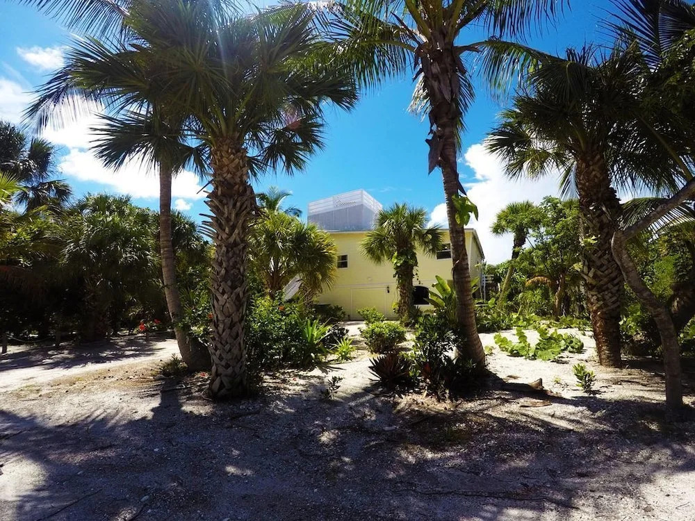 The Little Oasis Beach House