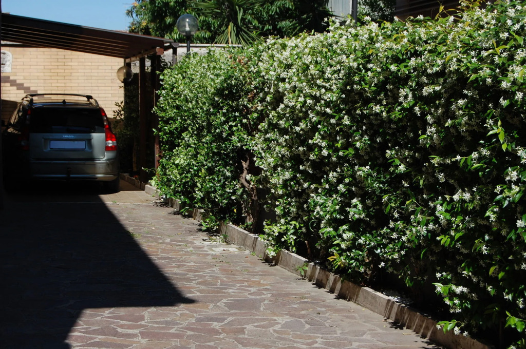 B&B GoodDay Roma Tor Vergata