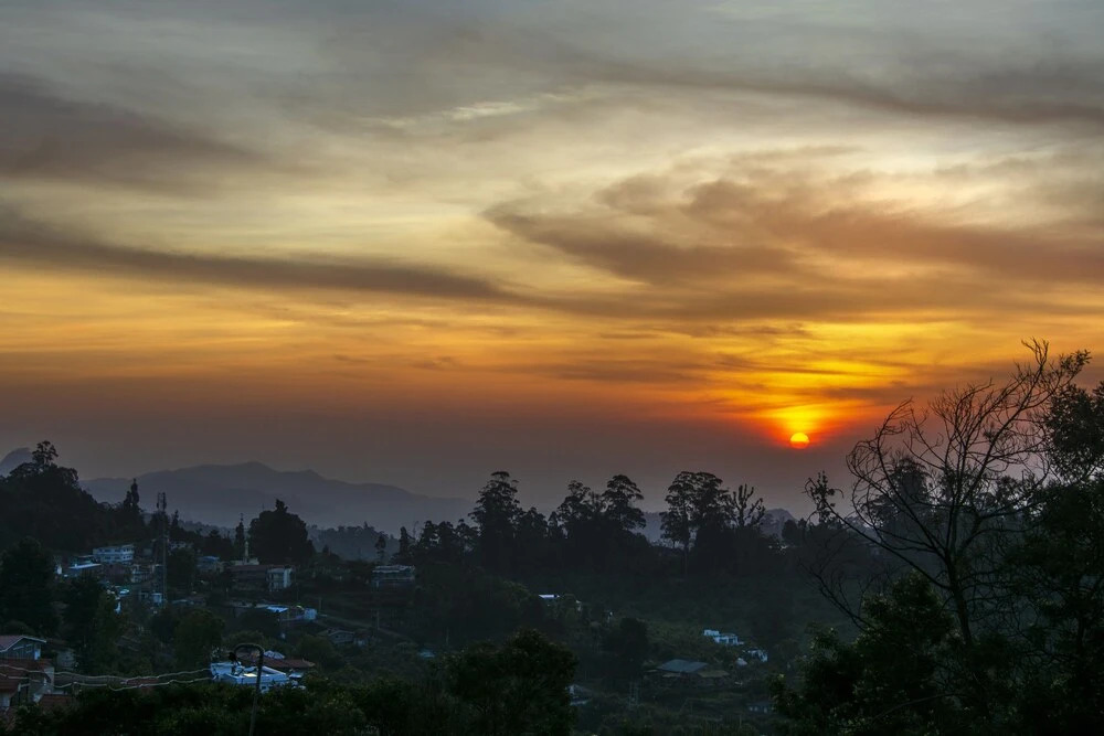 Wunderhaus Atists's Getaway and Homestay