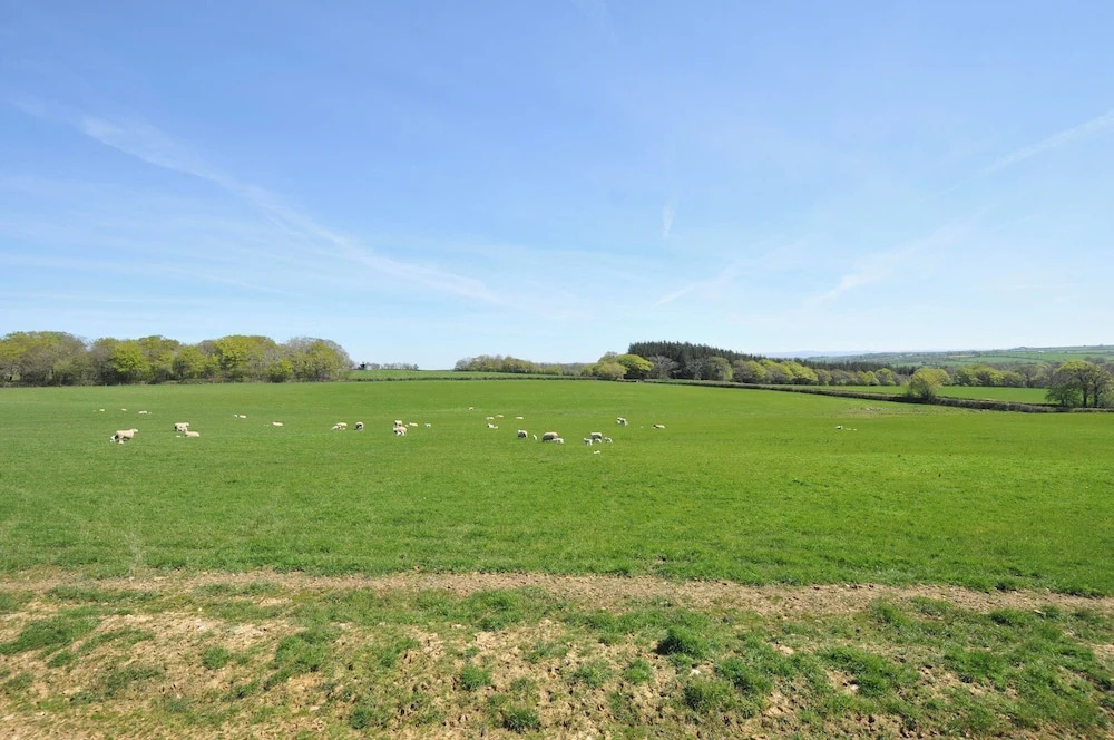 Little Blagdon