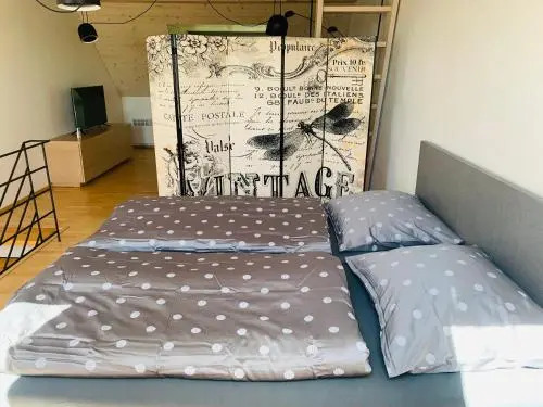 Apartmán U Venuše