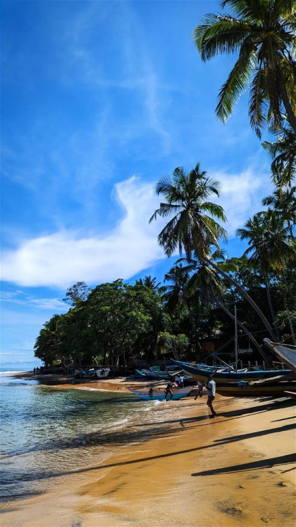 Hilltop House