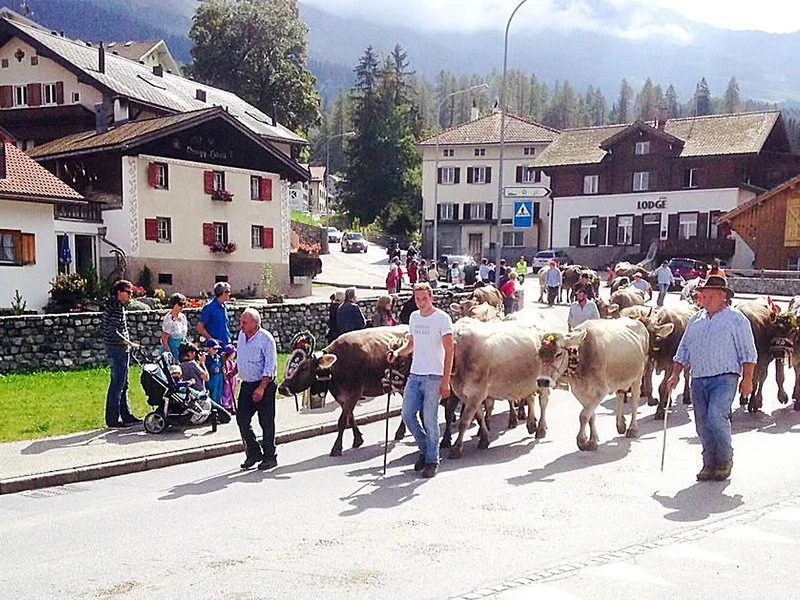 Am Bergli