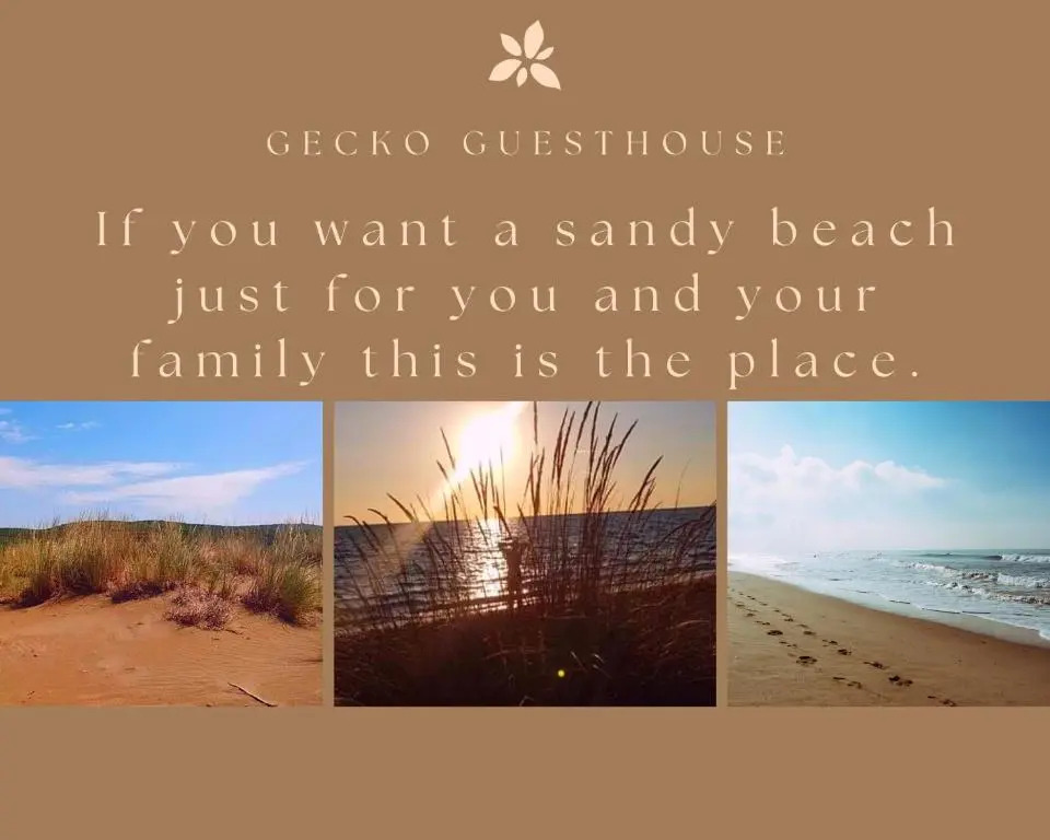Gecko guesthouse