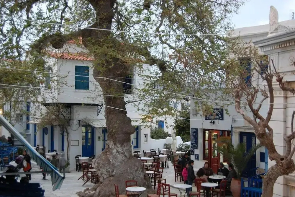 Tinos experience the house