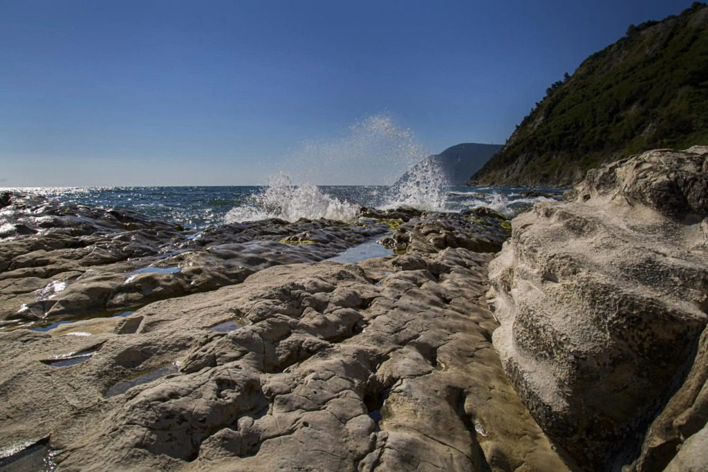 Brezza Del Conero