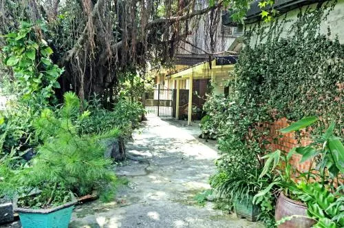 Taipei Jinguashi Treehouse Homestay