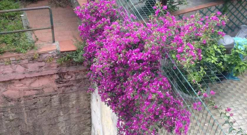 Hotel Garden 2