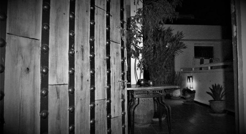 Riad Safina