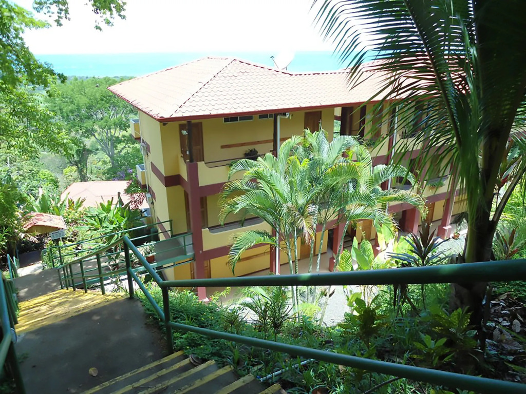 Vista Ballena