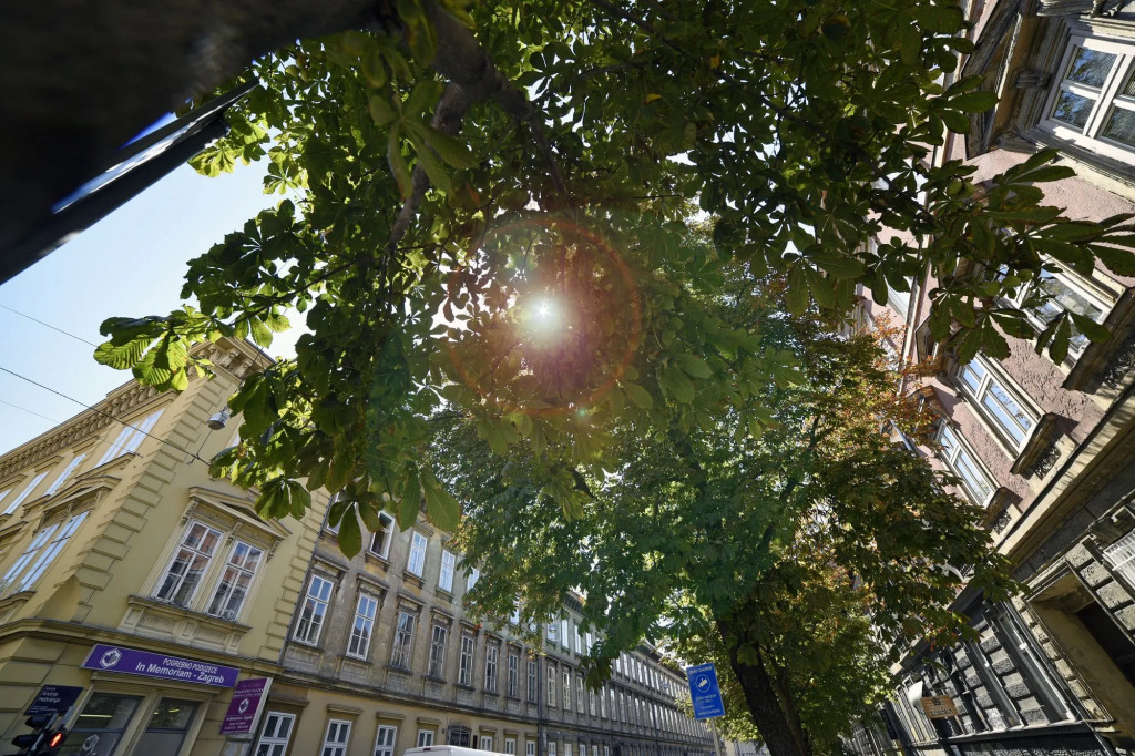 Markiz Luxury Apartments