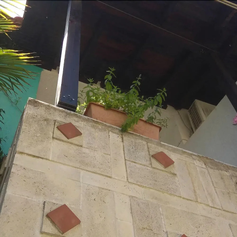 Tassos 2