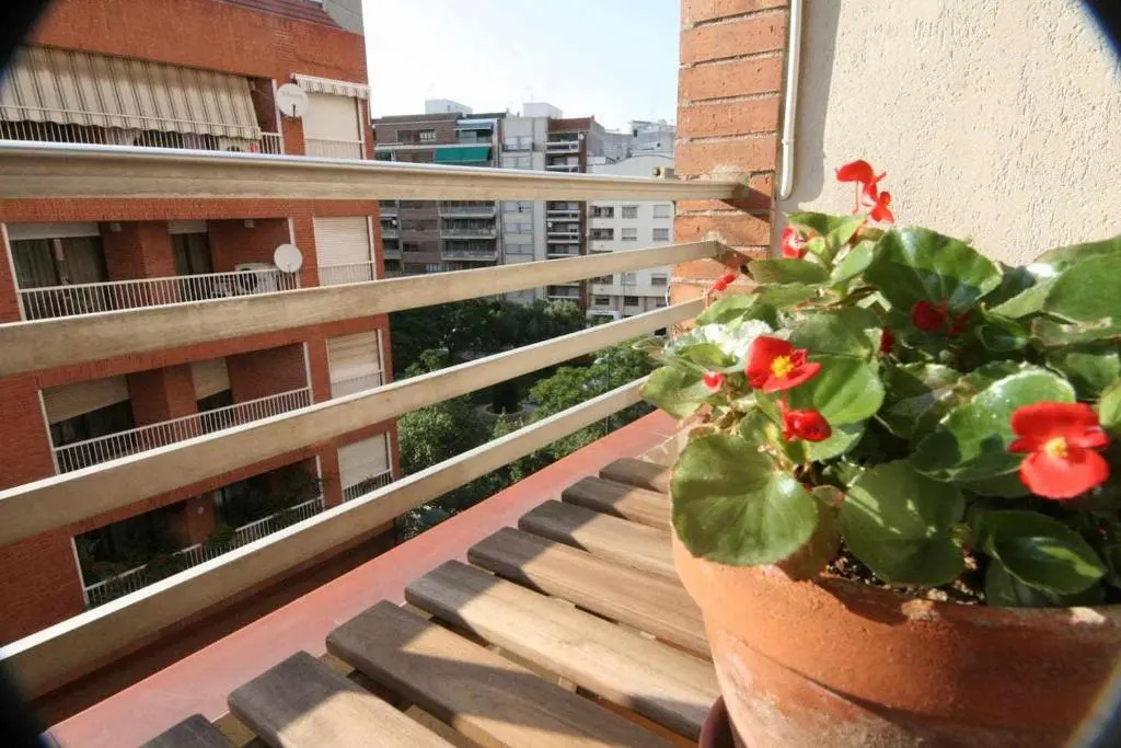 Las Minvas Centro 2