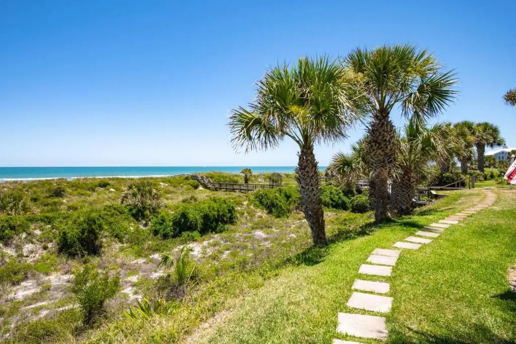 Sea Turtle Shores