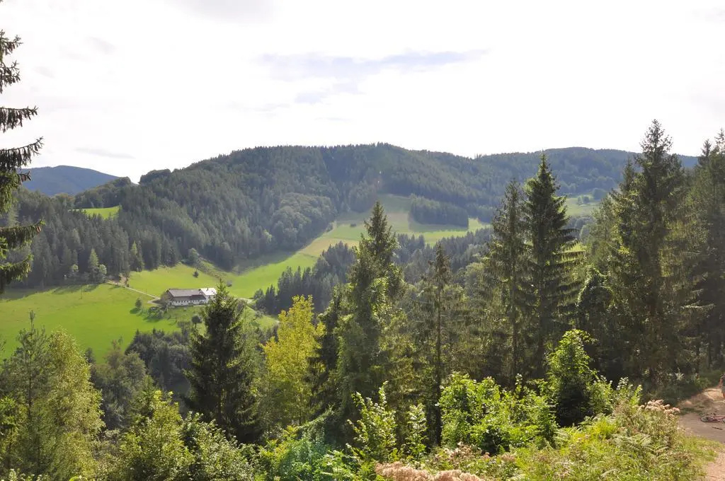 Haslaustube