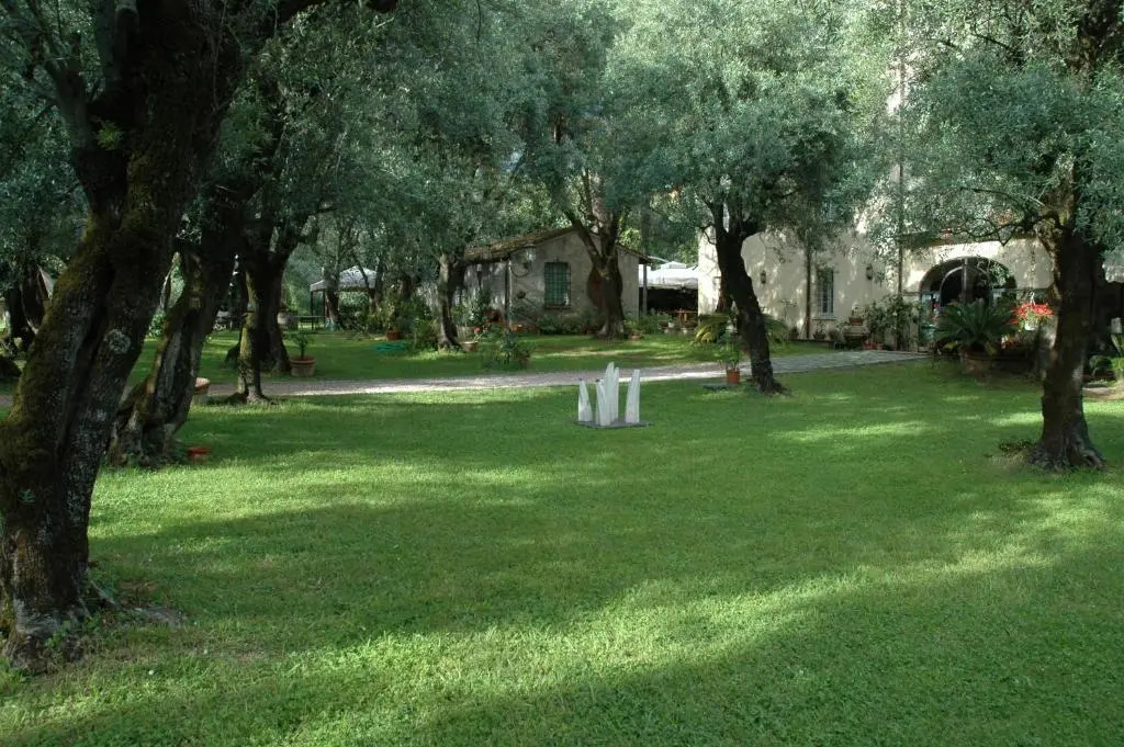 Antico Uliveto