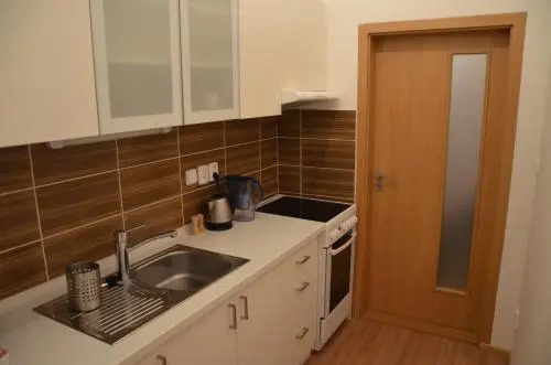 Comfortable Apartment Vlkova