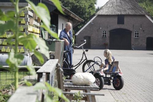 Koe in de Kost