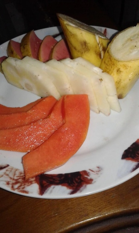 Hostal La Casona 254