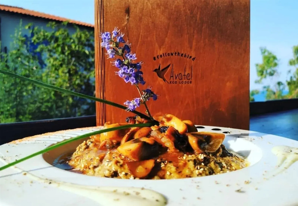 Avatel Eco Lodge