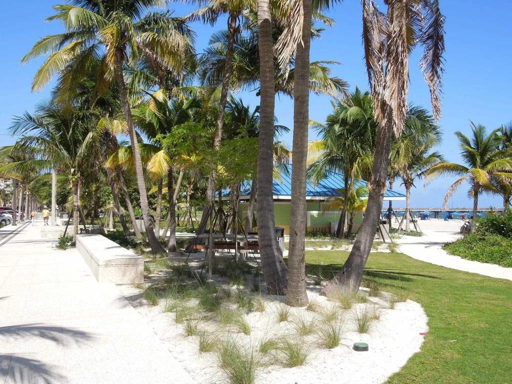 Sunny Place