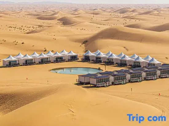 Zhongwei Star Guide | Parent-Child Study Tour | Desert Lakes | Five Lakes Crossing | Camping Base