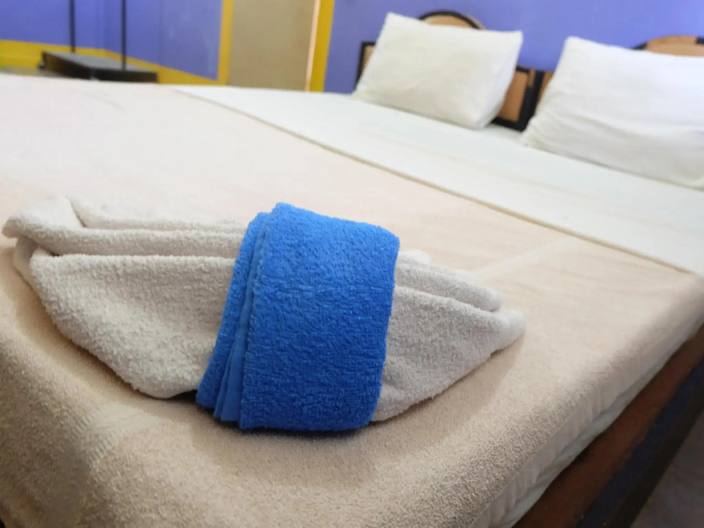 B&B House & Hostel