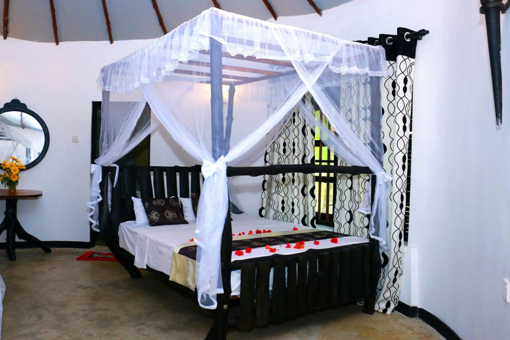 Turtle Watch Cabana