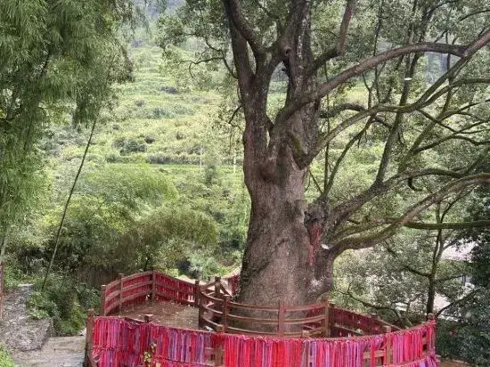 Wencheng Zhuliangying Homestay