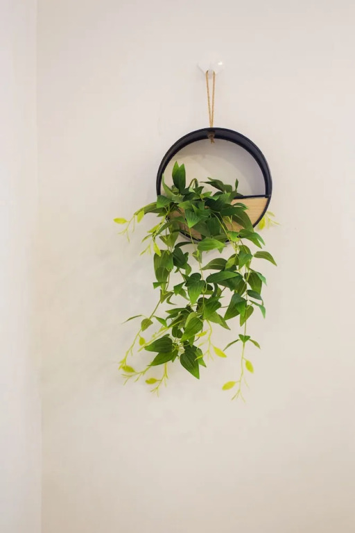 This Studio